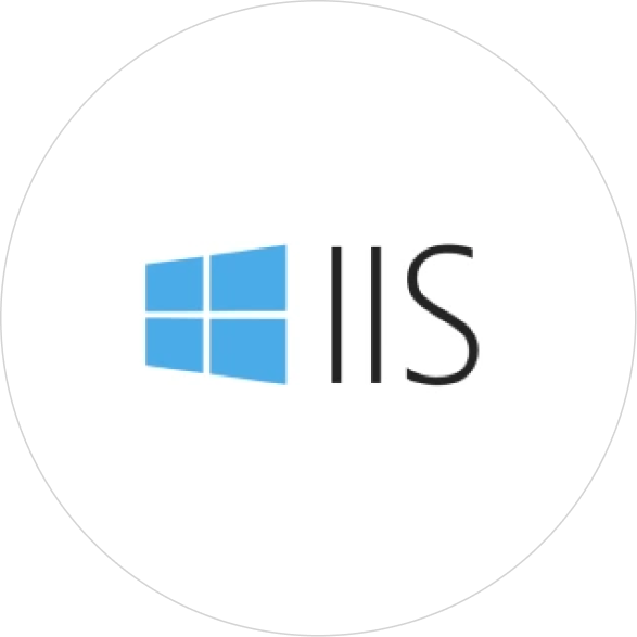 IIS Web application hosting website development company