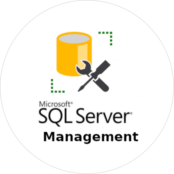  website development Design Services