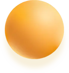 dubai web development company